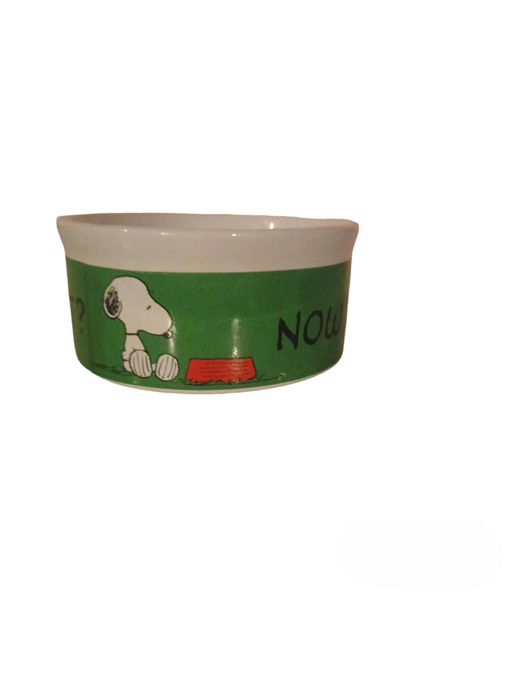 Peanuts Snoopy Food Water Bowl